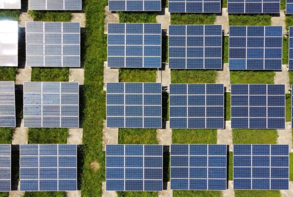 fields of solar panel grids