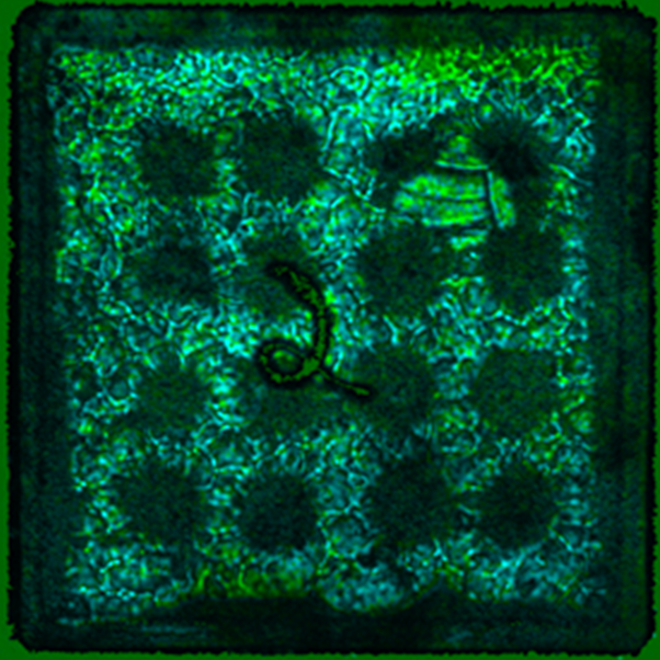 CPS' research and development team utilizes ultrasonic imaging to test new products.