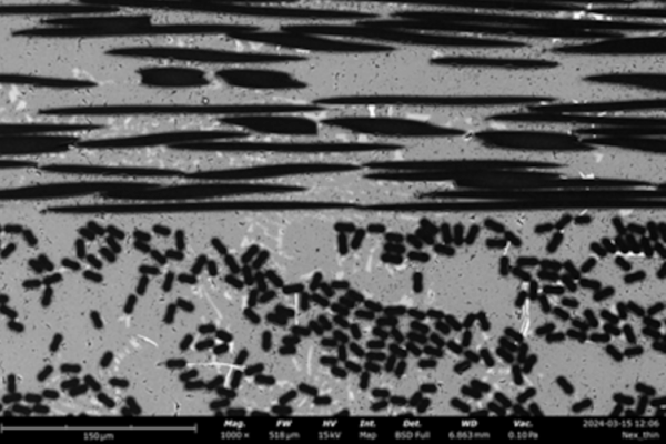 Fiber Reinforced Composites